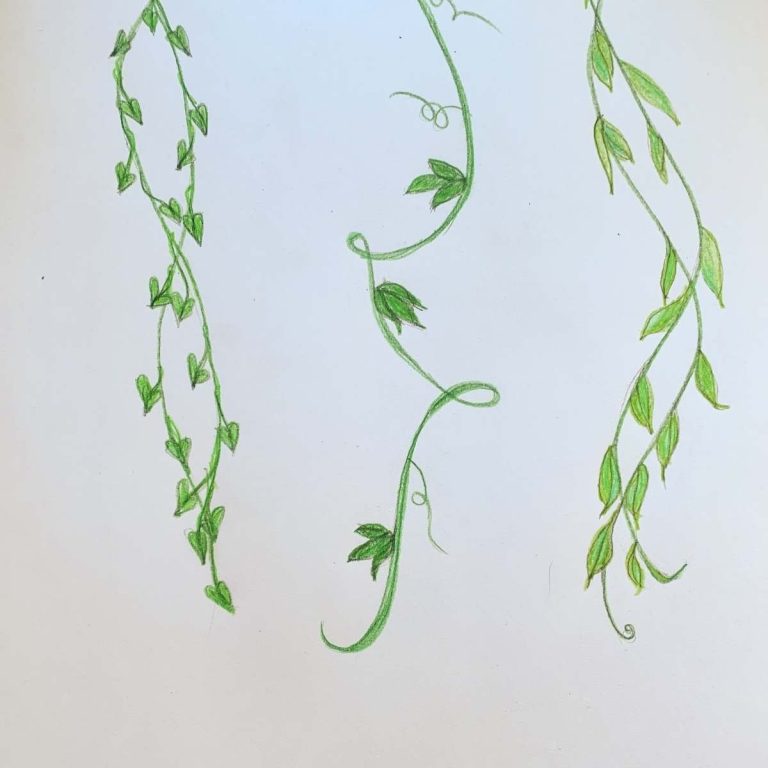 Create Stunning Vines: How To Draw A Vine Tutorial